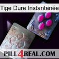 Tige Dure Instantanée 38